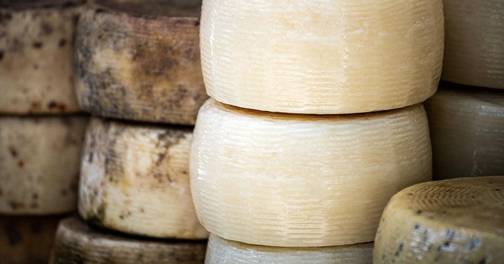 The fantastic story of Sardinian pecorino cheese