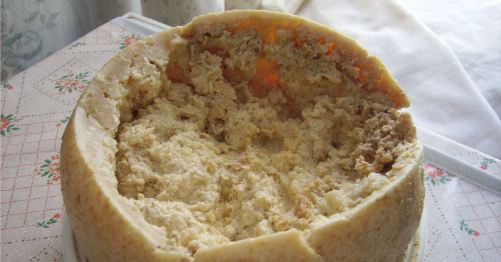 Casu Marzu illegal? Everything you need to know about maggot cheese 