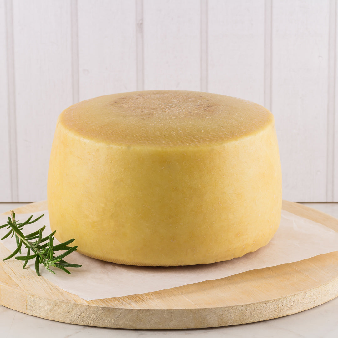 Marchese - semi-seasoned pecorino cheese